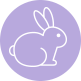 Bunny rabbit icon